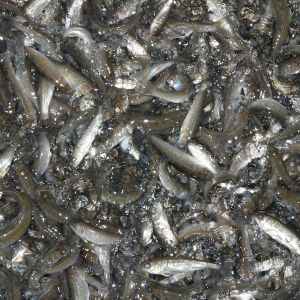 �r(ji��)����� �V�|��ɽ���~��N�y�N