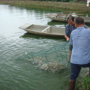 ��՚���u���r�B(y��ng)ע�Ᵽ�忹��(y��ng)��