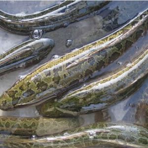 혵����~�r����� �Bֳ���M�˃��y