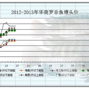 2013��3��4-8���_���~�r�������܈�