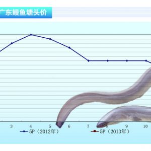 ���~�����~�r����Ȼ��ͦ����ˮ�aǰ�ء�2013��3�¿��Ј�څ��