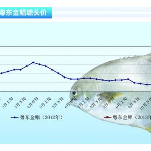 ���K�~�����r���~�r������ϝq����ˮ�aǰ�ء�2013��3�¿��Ј�څ��