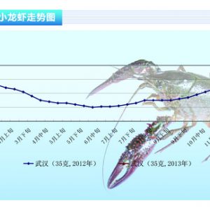 С���r�N��ƽ�� �r���c���³�ƽ����ˮ�aǰ�ء�2013��3�¿��Ј�څ��