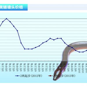 �S�X������������S�X�r����� ����һ�����������١���ˮ�aǰ�ء�2013��3�¿��Ј�څ��