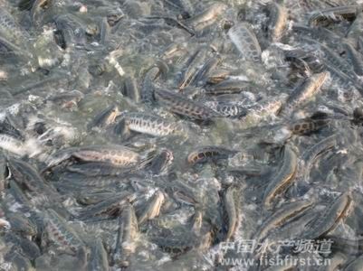 �~�v���O ���혵����~��ُ�rÿ�r����