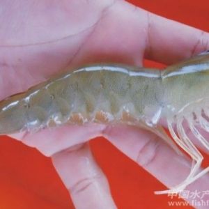 3��11-15�������׌��r�r���܈�