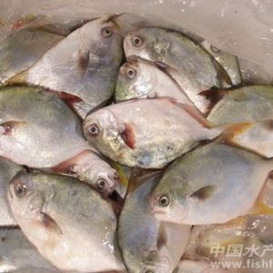 2013����K�Bֳ����p3-4��