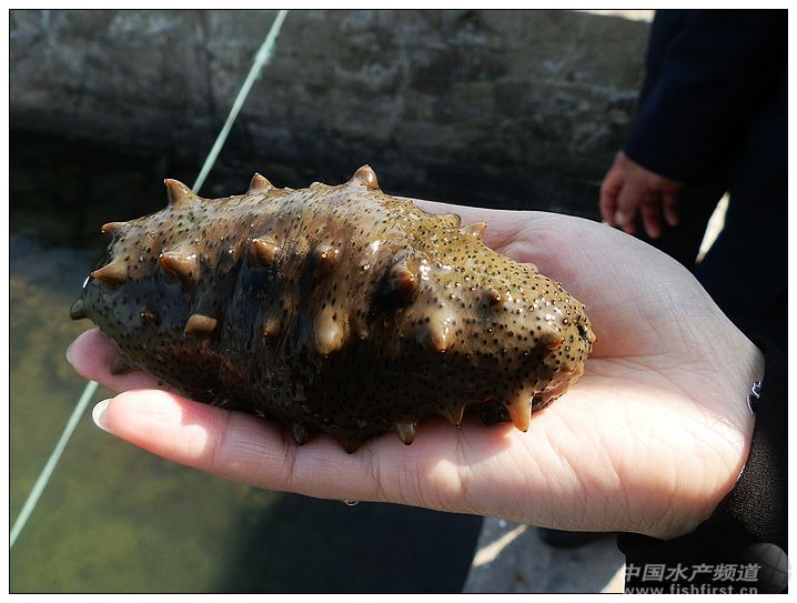 ϼ�ֺ����r���µ���������Ȼ���^