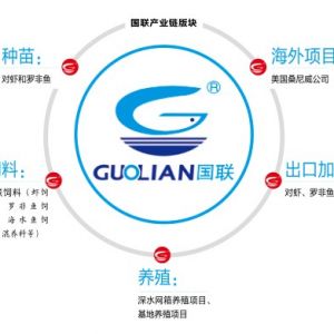 ������ؑ��I������