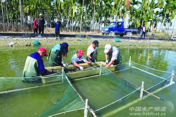 �_�����޵�ˮ���r���r��������