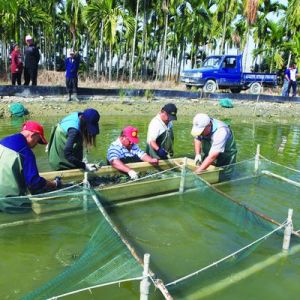 �_(t��i)�����޵�ˮ���r���r������(y��ng)��