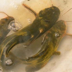 �S��~���Ј����ݘ��^���Bֳ����p