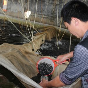 ����׃���� �_���~���N�۸߷啺δ��