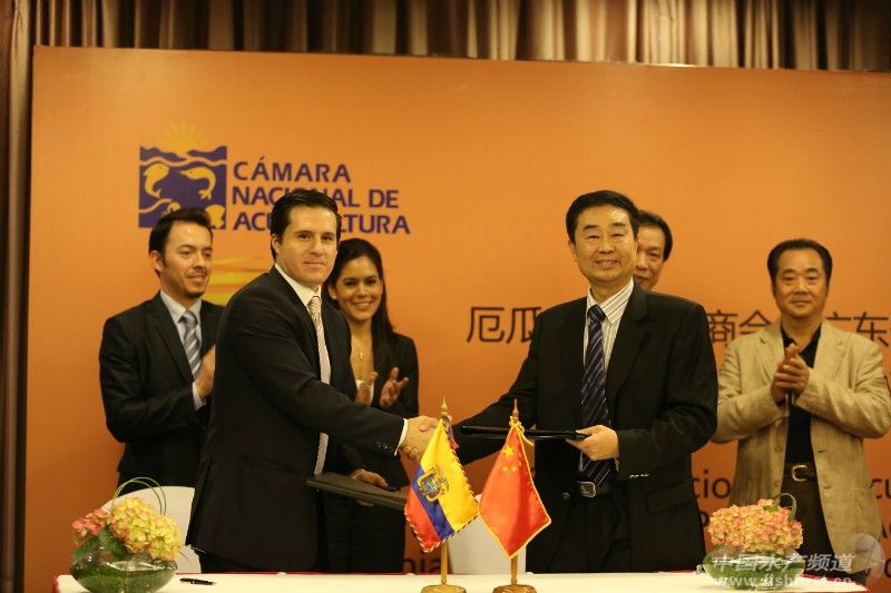 δ������V�|�����ɞ���r��һ������Ј�