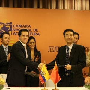 δ��(l��i)����V�|�����ɞ��?q��)��r��һ������Ј�(ch��ng)