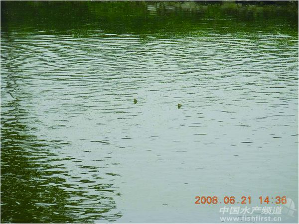 �����~���������~���Ӿ��ԭ����������δ�ʩ