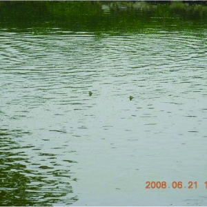 �����~���������~���Ӿ��ԭ����������δ�ʩ