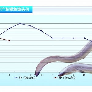 ���~���ձ��_ʼ�M�ڸ߃r���硪��ˮ�aǰ�ء�2013��4�¿��Ј�څ��