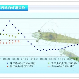 ���r����������߷� �r�r������������ˮ�aǰ�ء�2013��5�¿��Ј�څ��