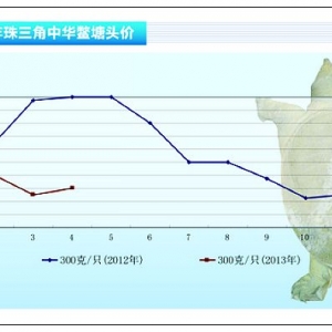 ���~����������ɽ��r����С �y����ɫ