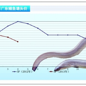 ���~�����r�������F�^�󲨄ӡ���ˮ�aǰ�ء�2013��5�¿��Ј�څ��