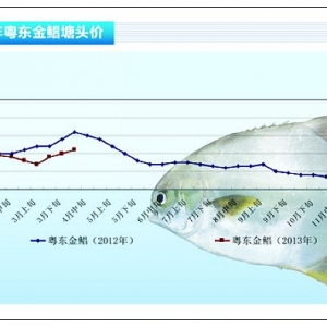 ���K���B(y��ng)ֳ����p����