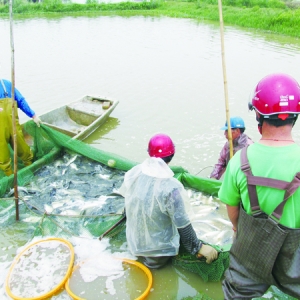 �麣���|���ݻ���