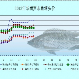 5��13-17���_���~�r(ji��)�������܈�(b��o)