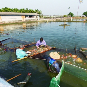 �B(y��ng)�~���磺Դ�����_���ļt���_�~