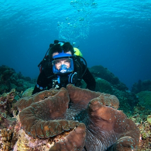 �a(ch��n)�I(y��)��棺�����B(y��ng)ֳ