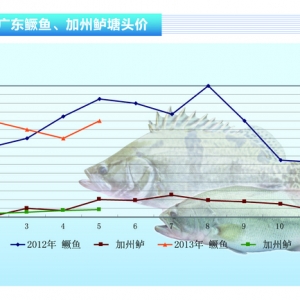 �Z�~�����~�r���ů �����¼�Ͷ�硪��ˮ�aǰ�ء�2013��6�¿��Ј�څ��