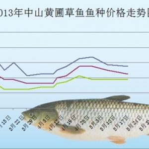 2013��5����ɽ�S�Բ��~�~�N�r��