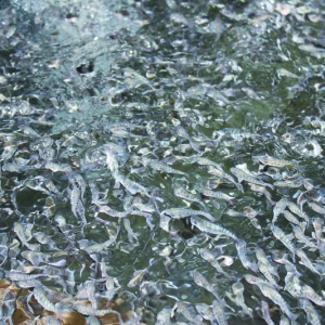 �����_���~��I(y��)����߳�����