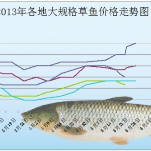 5��19-24�ո��ش�Ҏ(gu��)����~(y��)�r(ji��)����r