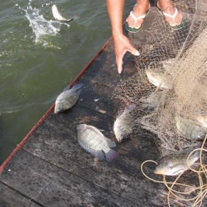 �_���~�����Ӱ��~�r(ji��)����(d��ng)�������~�r(ji��)���^