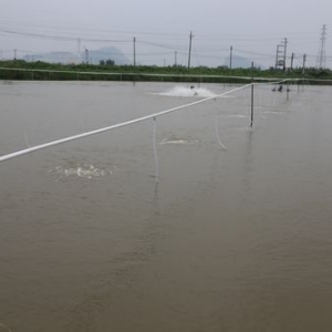 ��ɽ����M�ڳ������ƏV���������O��