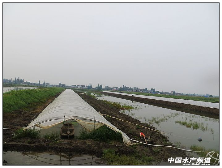 ���ƫ�� ���]�_���r�������r���Ќ����t