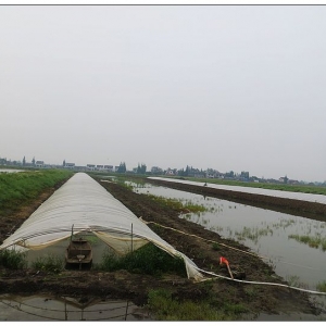 ���ƫ�� ���]�_���r�������r���Ќ����t