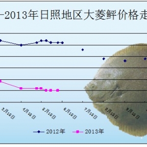 2013��5�µ�6�³������ҡ��\�~(y��)�r(ji��)����r