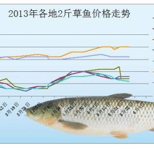 2013��5��24-6��1�ղ��ֵ؅^(q��)��Ҏ(gu��)����~(y��)�r(ji��)����r