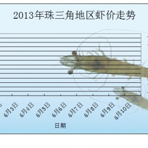 2013��6��1�������ǌ��r�r����r