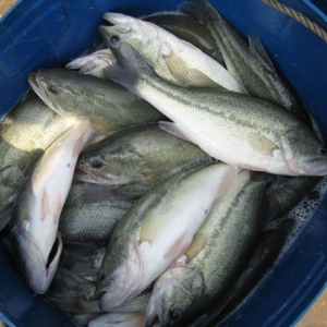 �����|�������p�� һ���j�q10Ԫ/��