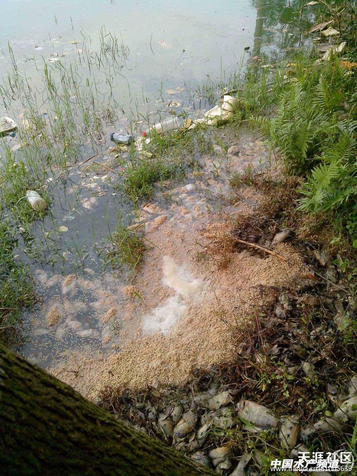 �V�|����ˮ�a(ch��n)ʳƷ���޹�˾��ˮ�M�����r(n��ng)����