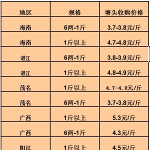 2013��6��7���A�ϵ؅^(q��)�_���~���^�r(ji��)