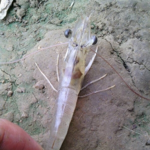 6��3-7�Ռ��r�܈�(b��o)����⮐�� ������(y��n)��