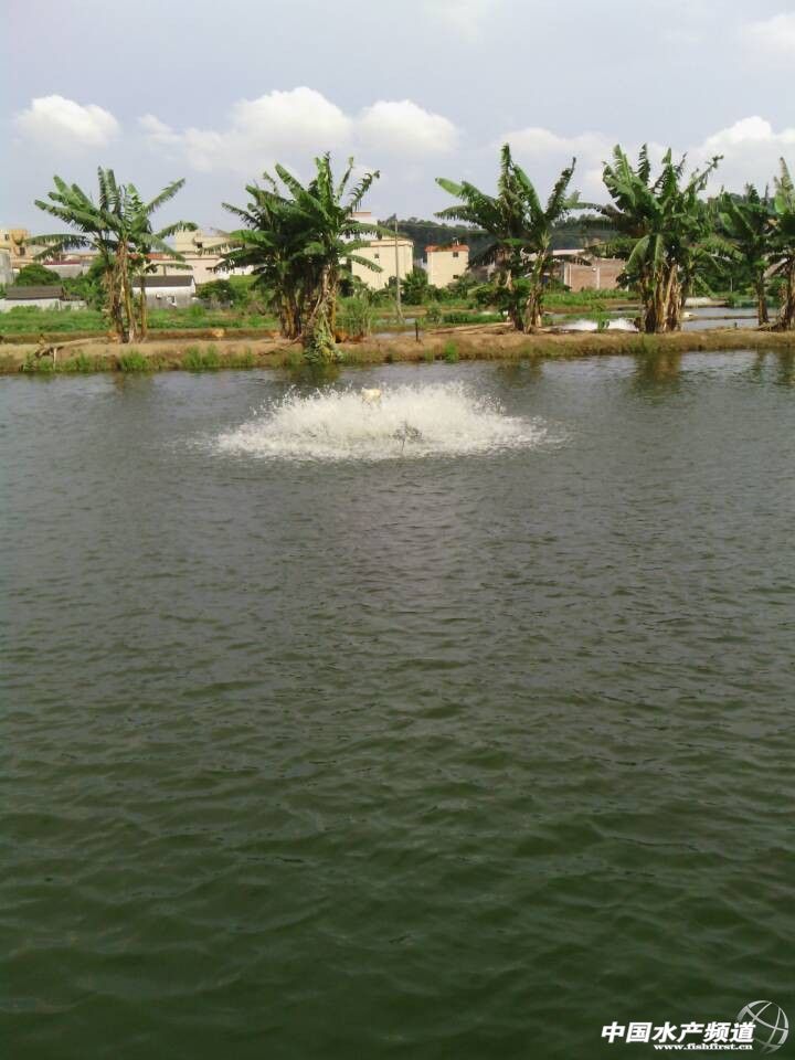 ���������r�������� �����Bֳ���˳�