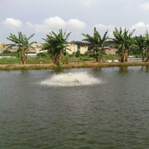 ���������r�������� �����Bֳ���˳�