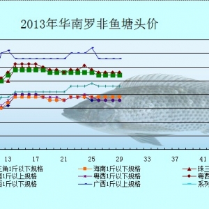 6��10-14���_���~�r(ji��)�������܈�(b��o)