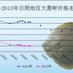 2013��6��15�մ����ҡ��\�~�r����r