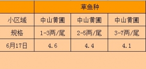 2013��6��17���S�Բ��~�N���^�r��r